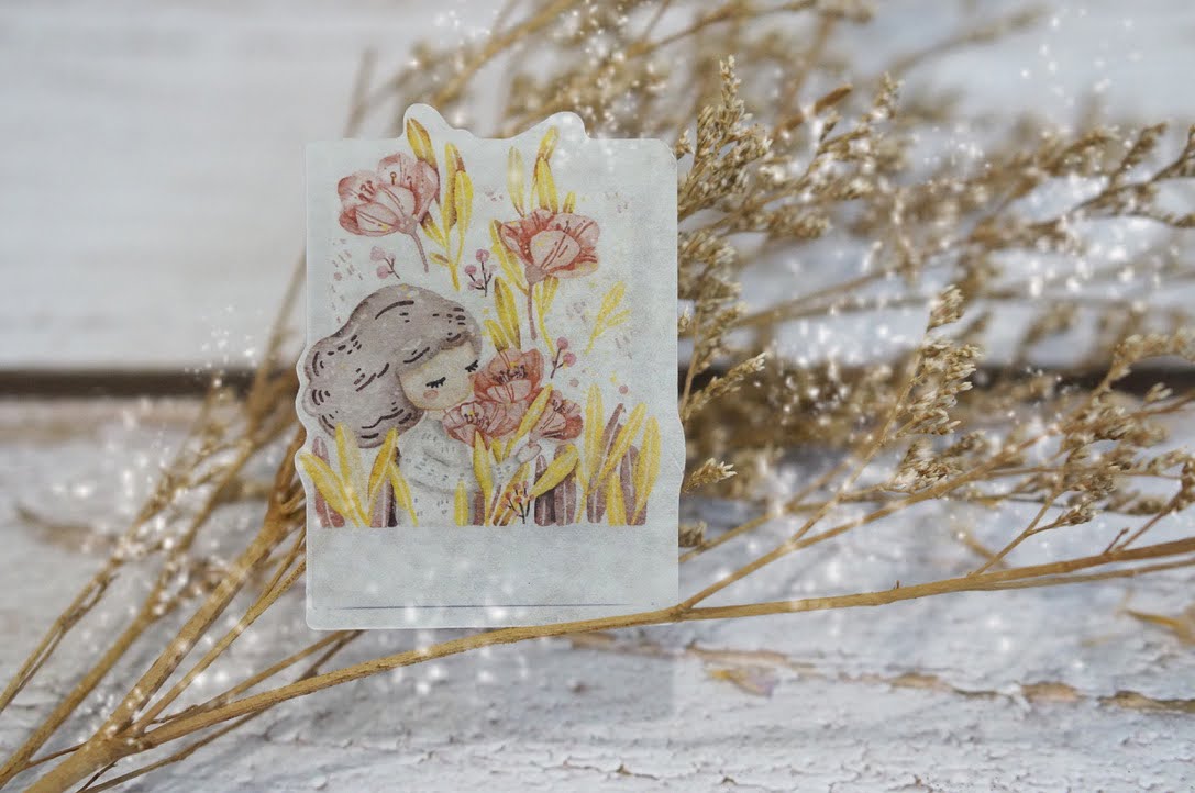 Polaroid Girls (Washi Sticker Set)