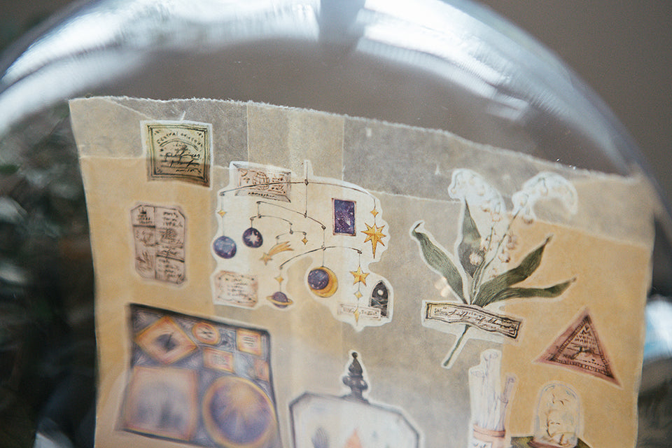 Collections of Museum Masking Tape